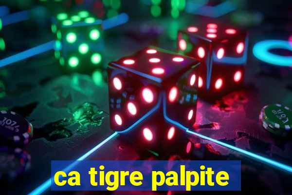 ca tigre palpite